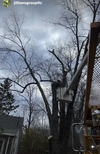 photo at Carmel Hamlet, NY on Dec 03, 2022: Multiple overhanging trees posed a risk to the home, so we pruned several trees and removed 3-4 mas