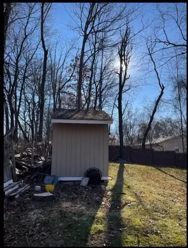 photo at Poughkeepsie, NY on Nov 21, 2022: To enhance the safety and aesthetic appeal of the property, we conducted thorough tree pruning and 