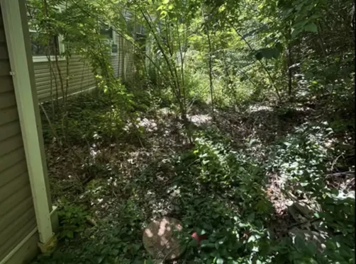 photo at Fishkill, NY on Aug 16, 2023: After a storm caused significant damage, we tackled a total property cleanup that included tree pru