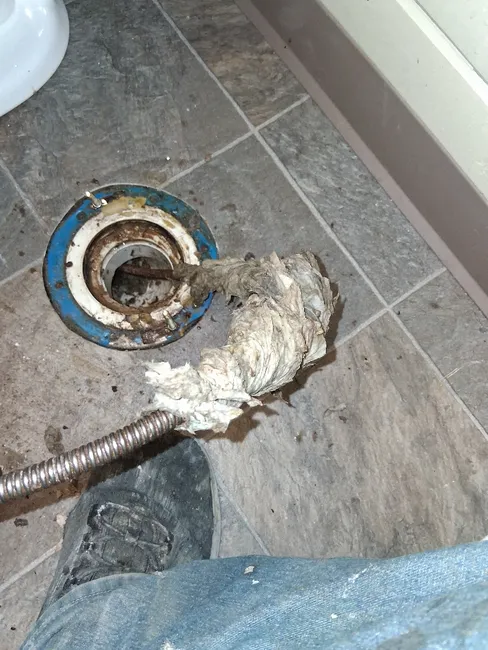 Sewer Backup