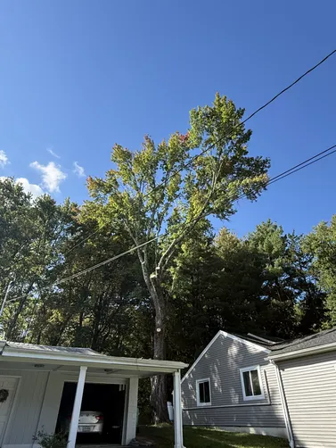 photo at Poughkeepsie, NY on Sep 26, 2025: Jillian's Group LLC  was called to a customer’s home in Poughkeepsie, New York as the weight and le