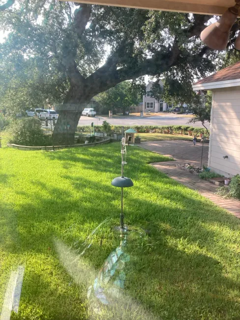 Professional Window Cleaning In Buda, TX