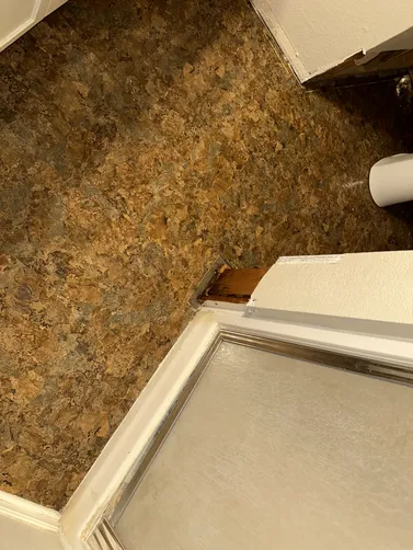 photo at Derby, KS on Sep 21, 2026: After removing the carpet in the basement, we discovered mold around the baseboards in several area photo at Derby, KS on Sep 21, 2026: After removing the carpet in the basement, we discovered mold around the baseboards in several area