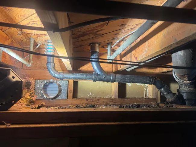Replace Lavatory/Kitchen Horizontal Drain