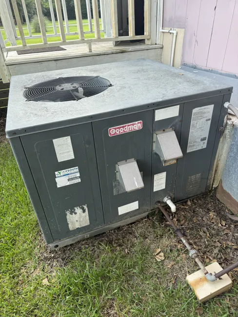 Job in Mount Olive