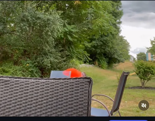 photo at Hopewell Junction, NY on Aug 02, 2022: With a new fence installation on the horizon, trees needed to be removed and limbs trimmed to ensur