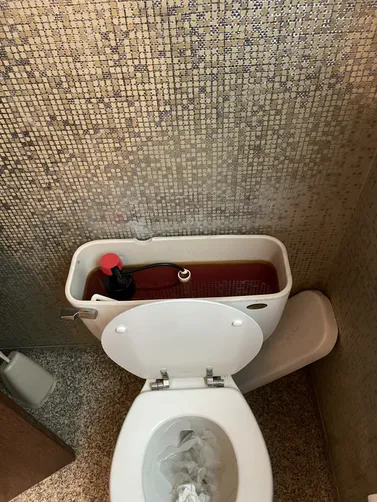 photo at Clayton, CA on May 06, 2026: The toilet was experiencing issues due to a malfunctioning fill valve and flapper, leading to impro