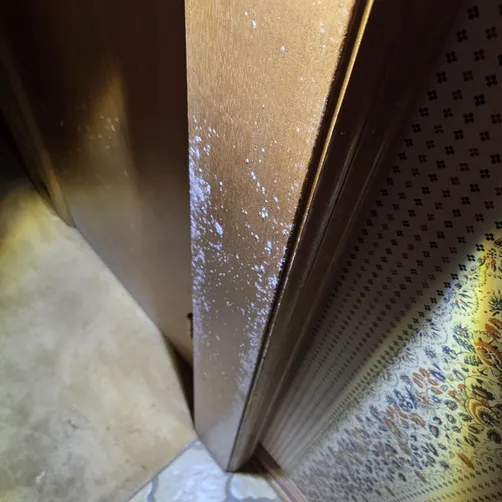 photo at Wichita, KS on Oct 07, 2026: A thorough evaluation was conducted to address mold concerns in a recently purchased home. After no