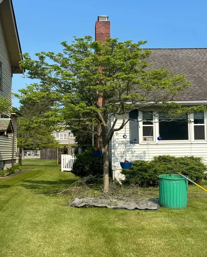 photo at Poughkeepsie, NY on May 23, 2023: High estimates and unnecessary services had left the homeowner feeling overwhelmed. We pruned and l