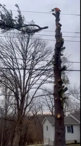 photo at Wappingers Falls, NY on May 18, 2022: The sloping issues in the lawn prompted us to grade the area, lay down soil and seed to establish a