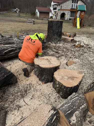 photo at Stanfordville, NY on Mar 22, 2025: A large maple tree was splitting and becoming a concern for the home owner. Being surrounded by far