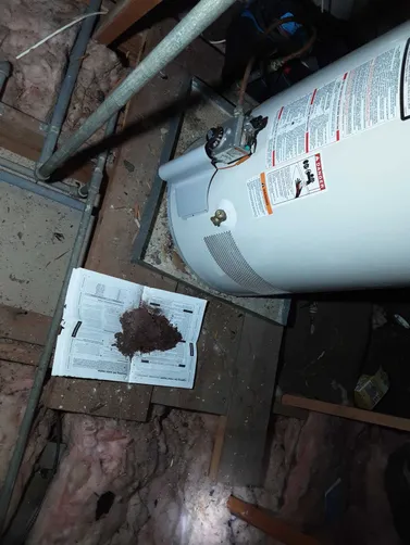 photo at Houston, TX on Oct 31, 2025: The water heater was not functioning properly, prompting us to assess the issue. We replaced the th