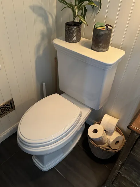 Unclog Toilet