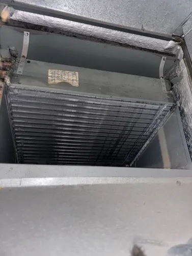 photo at Wichita, KS on Sep 21, 2026: A homeowner reported mold presence in her air ducts, indicating a need for thorough air duct cleani photo at Wichita, KS on Sep 21, 2026: A homeowner reported mold presence in her air ducts, indicating a need for thorough air duct cleani