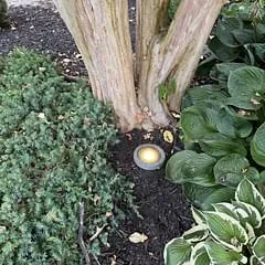 Landscape Lighting Replacement And Rewiring Fixtures