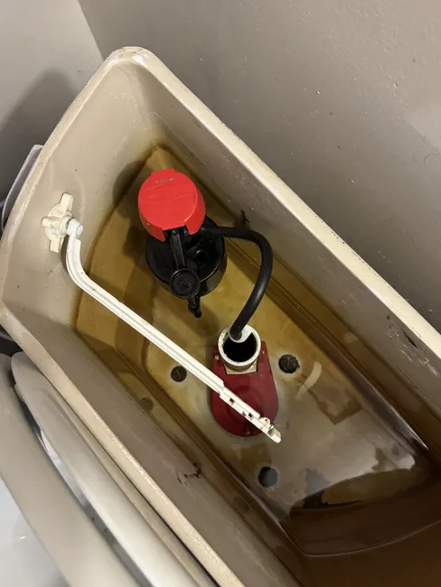 Replace Toilet-Fill Valve And Supply
