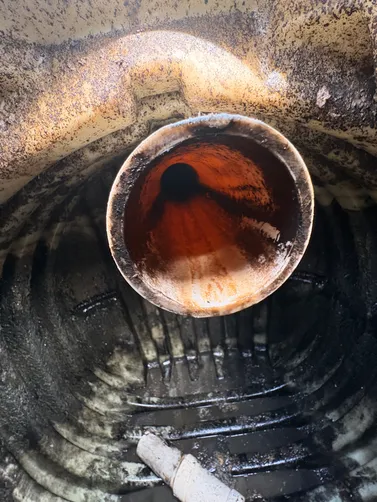 photo at Nashville, TN on Jun 05, 2026: A thorough septic inspection was conducted to assess the system's overall functionality and conditi photo at Nashville, TN on Jun 05, 2026: A thorough septic inspection was conducted to assess the system's overall functionality and conditi