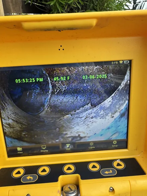 Building Drain Cleaning