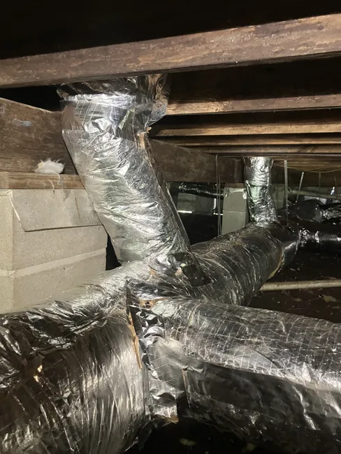 Job in Mount Olive