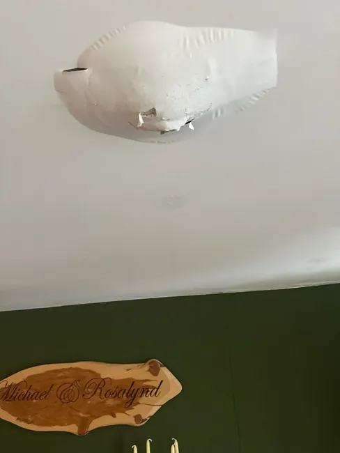 Water Loss
