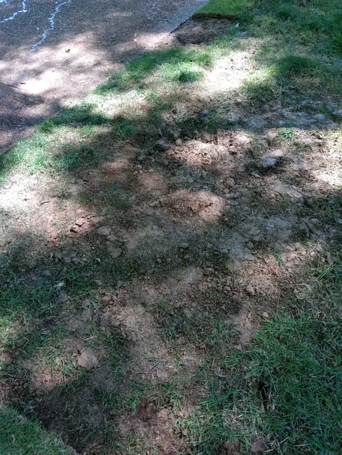 Water Leak