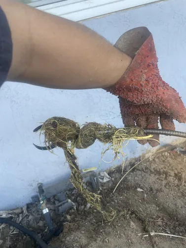 photo at Martinez, CA on Apr 29, 2026: A blocked sewer line caused significant issues, primarily due to roots infiltrating the system. We 