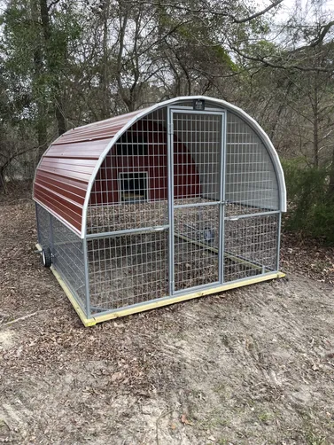 photo at Gilmer, TX on Feb 03, 2026: undefined