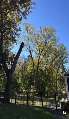 photo at Poughkeepsie, NY on Oct 18, 2024: A large damaged limb from a maple tree was overhanging the home and property, posing a safety risk 