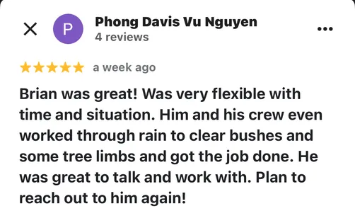 photo at Poughkeepsie, NY on Aug 21, 2025: A Poughkeepsie resident contacted us as there back yard trees were encroaching their home and their