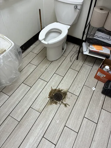 photo at Sapulpa, OK on Mar 30, 2026: A clog in the bathroom drain was causing water to back up whenever the toilet was flushed. To resol photo at Sapulpa, OK on Mar 30, 2026: A clog in the bathroom drain was causing water to back up whenever the toilet was flushed. To resol