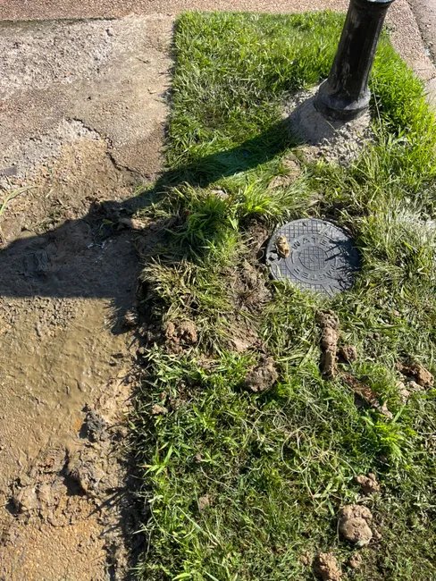 Leak In The Sidewalk