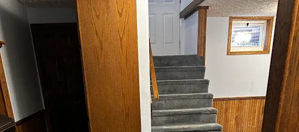 Carpet Cleaning