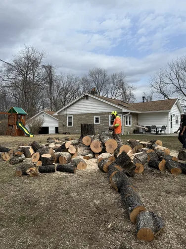 photo at Stanfordville, NY on Mar 22, 2025: A large maple tree was splitting and becoming a concern for the home owner. Being surrounded by far