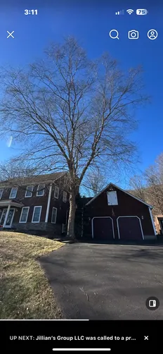 photo at Highland, NY on Dec 14, 2024: A beautiful River Birch had outgrown its space, posing a risk to the home nearby. We expertly remov
