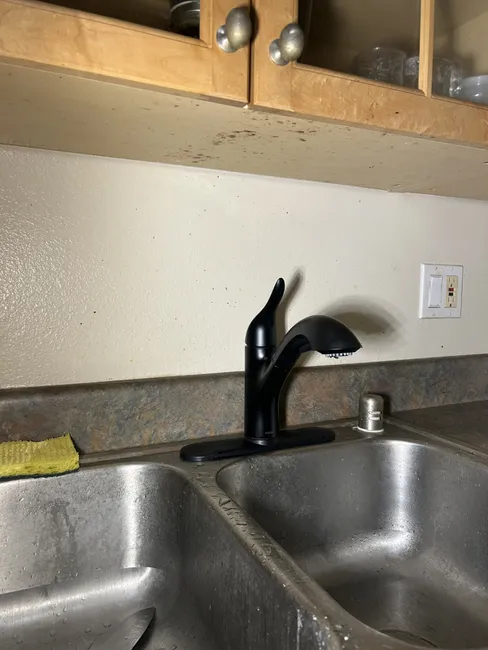 Job in San Diego