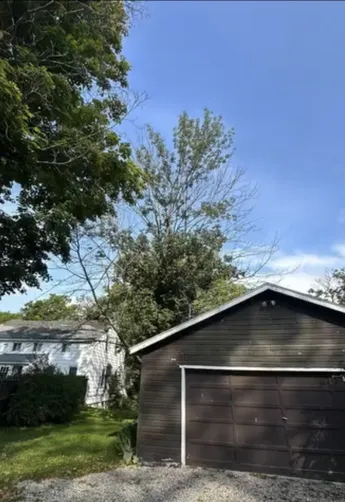 photo at Amenia, NY on Aug 25, 2024: A dying ash tree was posing a risk over the customer’s garage, while an overhanging maple tree thre
