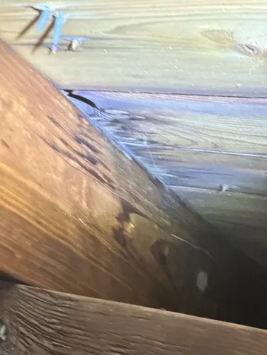 photo at Goddard, KS on Oct 12, 2026: A water leak had resulted in visible mold inside the home, prompting the need for a thorough mold e