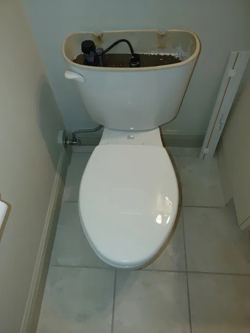 Pull & Reset Toilet