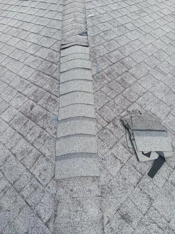 Shingle Roof Repair