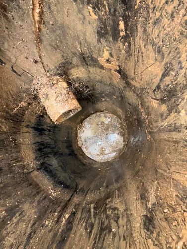 photo at Gallatin, TN on Jun 12, 2026: A thorough septic inspection was conducted to assess the solids tank, pump tank, and distribution b photo at Gallatin, TN on Jun 12, 2026: A thorough septic inspection was conducted to assess the solids tank, pump tank, and distribution b
