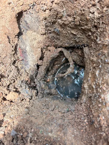 photo at Hartsville, TN on Jun 30, 2026: A septic system required attention to remove any obstacles and ensure proper functioning. We dug an photo at Hartsville, TN on Jun 30, 2026: A septic system required attention to remove any obstacles and ensure proper functioning. We dug an