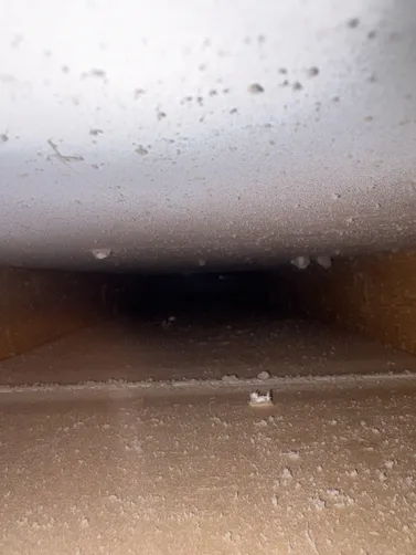 photo at Goddard, KS on Aug 28, 2026: A significant air duct cleaning involved an extensive process, which included cleaning up to 22 ven photo at Goddard, KS on Aug 28, 2026: A significant air duct cleaning involved an extensive process, which included cleaning up to 22 ven
