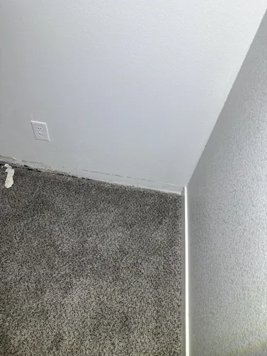 photo at Wichita, KS on Oct 19, 2026: A mold evaluation was conducted in response to visible mold growth and water damage in the drywall.