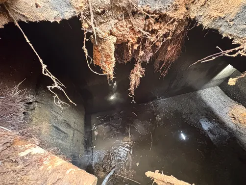 photo at Portland, TN on Apr 01, 2026: A septic inspection was conducted to evaluate the condition of the system at the Portland property. photo at Portland, TN on Apr 01, 2026: A septic inspection was conducted to evaluate the condition of the system at the Portland property.