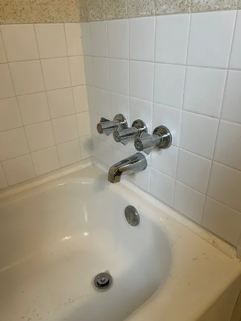 Tub Faucet