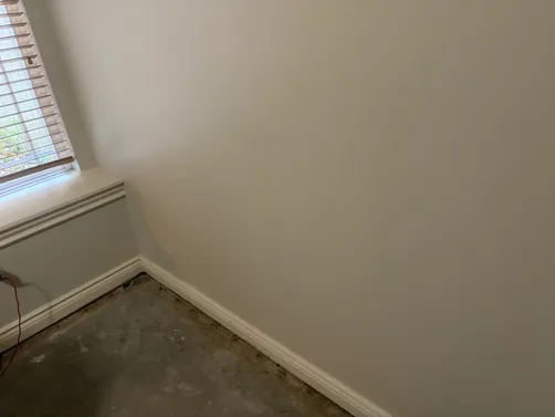 photo at Wichita, KS on Sep 16, 2026: Mold was detected in the walls of a home, requiring prompt action. We undertook the necessary mold photo at Wichita, KS on Sep 16, 2026: Mold was detected in the walls of a home, requiring prompt action. We undertook the necessary mold