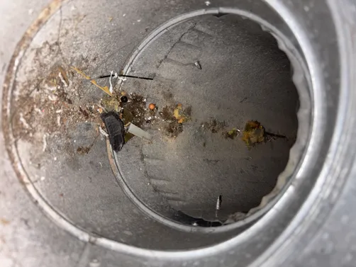 photo at Wichita, KS on Sep 30, 2026: To improve indoor air quality, we conducted an air duct cleaning service in Wichita. Our team thoro photo at Wichita, KS on Sep 30, 2026: To improve indoor air quality, we conducted an air duct cleaning service in Wichita. Our team thoro