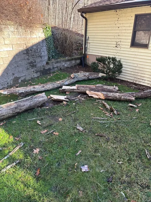 Storm Damage & Roof Replacement