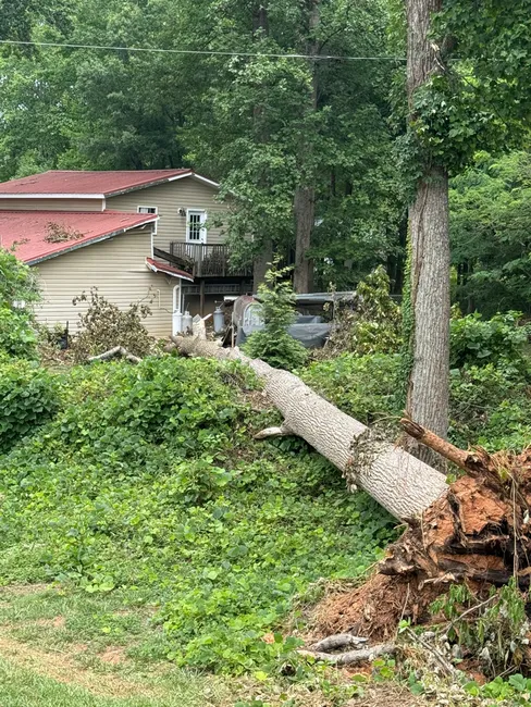 Job in Summerfield