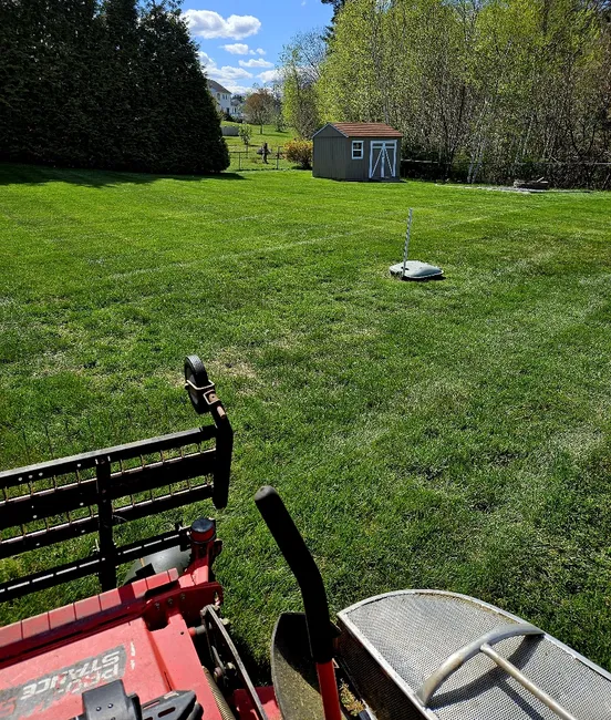 A lawn in Templeton was revitalized through thorough dethatching, enhancing its health and appearance.